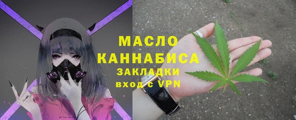 стафф Ельня
