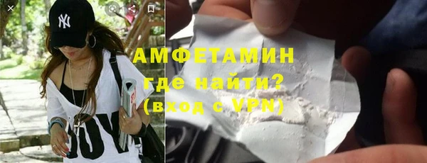 стафф Ельня