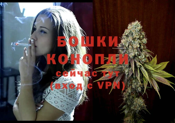 ПСИЛОЦИБИНОВЫЕ ГРИБЫ Елизово
