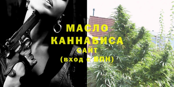 стафф Ельня