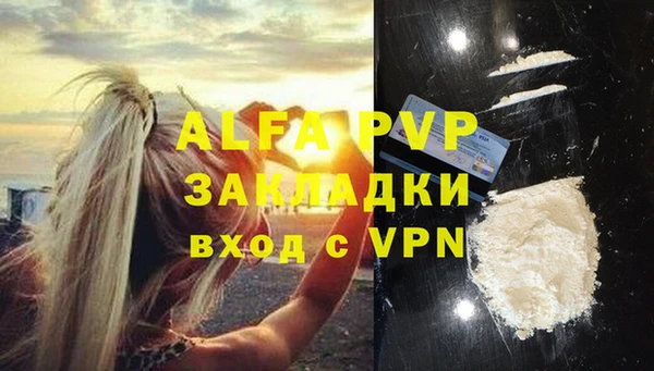ПСИЛОЦИБИНОВЫЕ ГРИБЫ Елизово